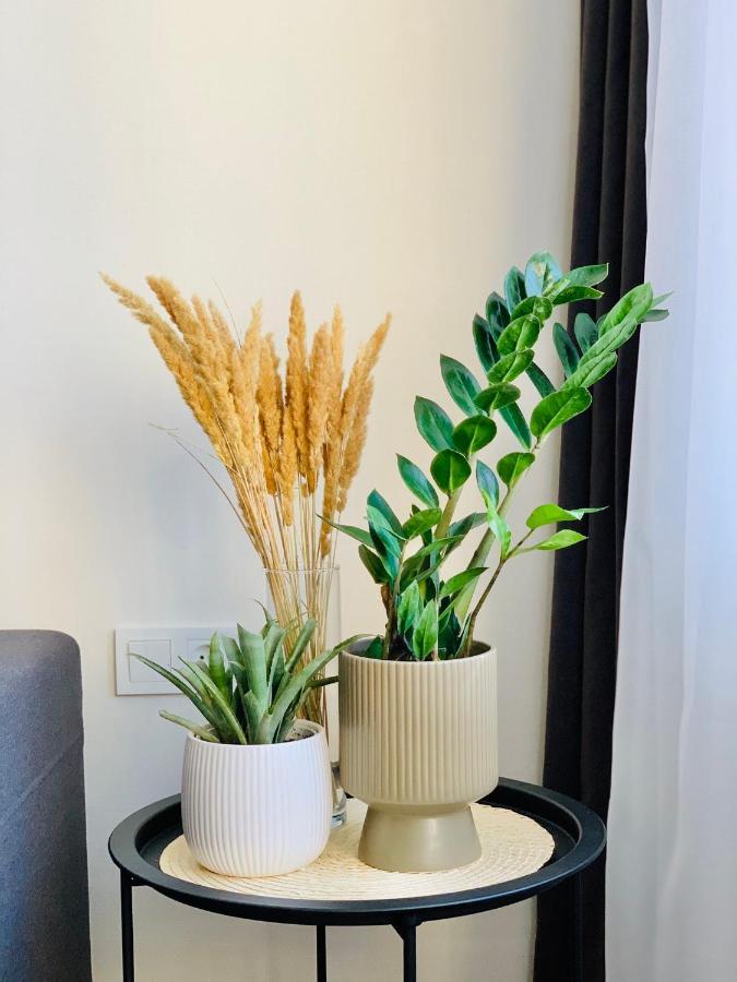 Arcadia Sunrise Sea View Apartment أوديسا المظهر الخارجي الصورة